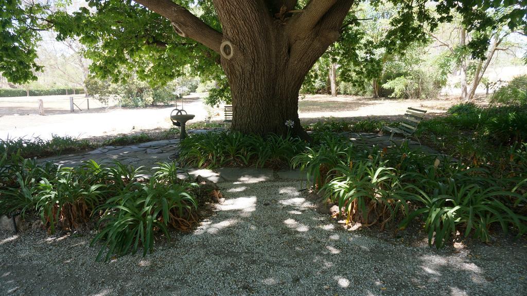 Collingrove Homestead Angaston Luaran gambar