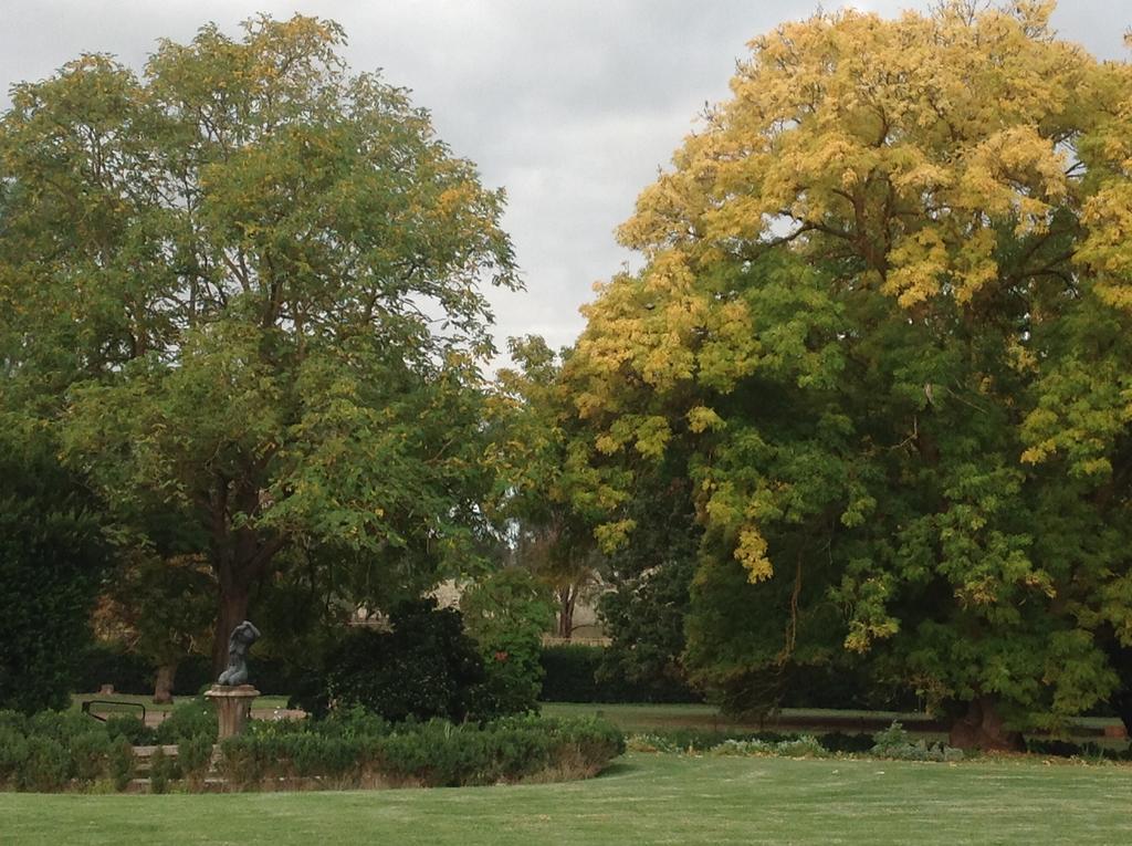Collingrove Homestead Angaston Luaran gambar
