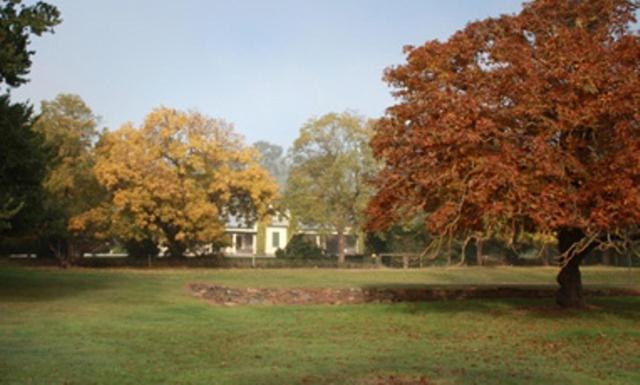 Collingrove Homestead Angaston Luaran gambar